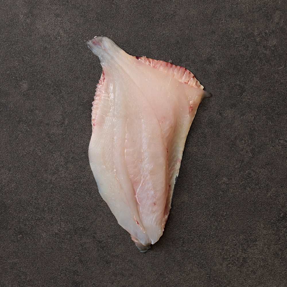 Line-Caught John Dory Fillets