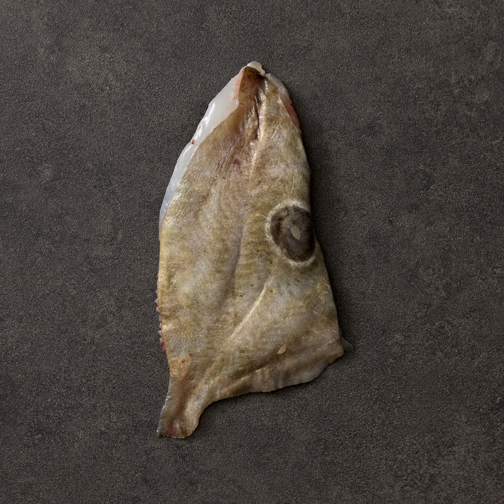 Line-Caught John Dory Fillets